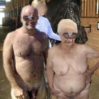 alepinp's Avatar