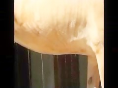 Thumb 13