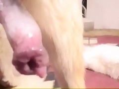 Thumb 19