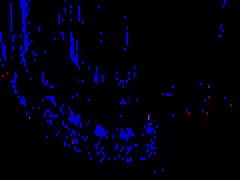 Perro cachondo y salvaje