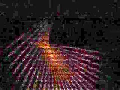 Thumb 20