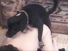 My wife knoted and driping dog cum