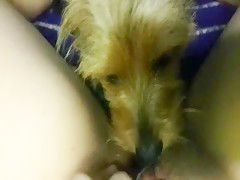 Thumb 11