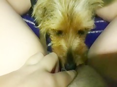 Thumb 8