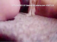 Thumb 12