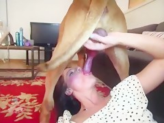 dog blowjob compilation