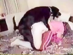 Compilation dogsex We love