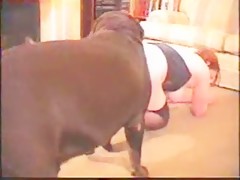 milf getting knotted by her large dog