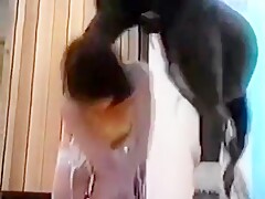 Clássico  da Zoofilia _ Vintage