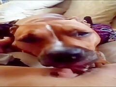 orgasm real compilation